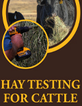 Hay Testing for Cattle: Understanding the Results cover